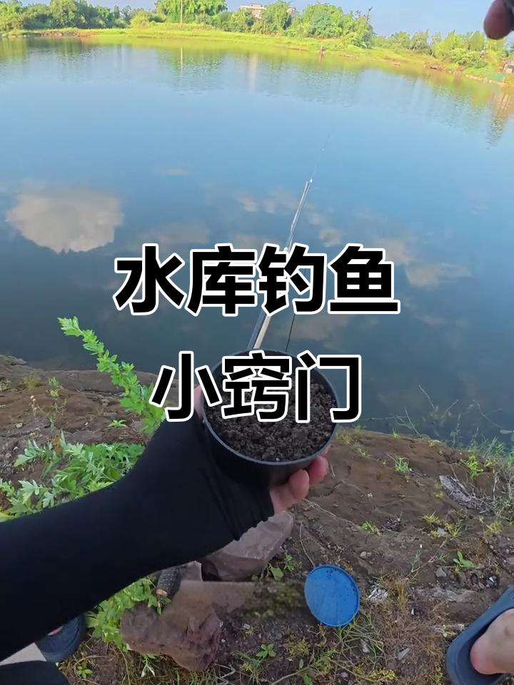 南方谷雨水库钓鱼技巧(南方谷雨水库钓鱼技巧图解)