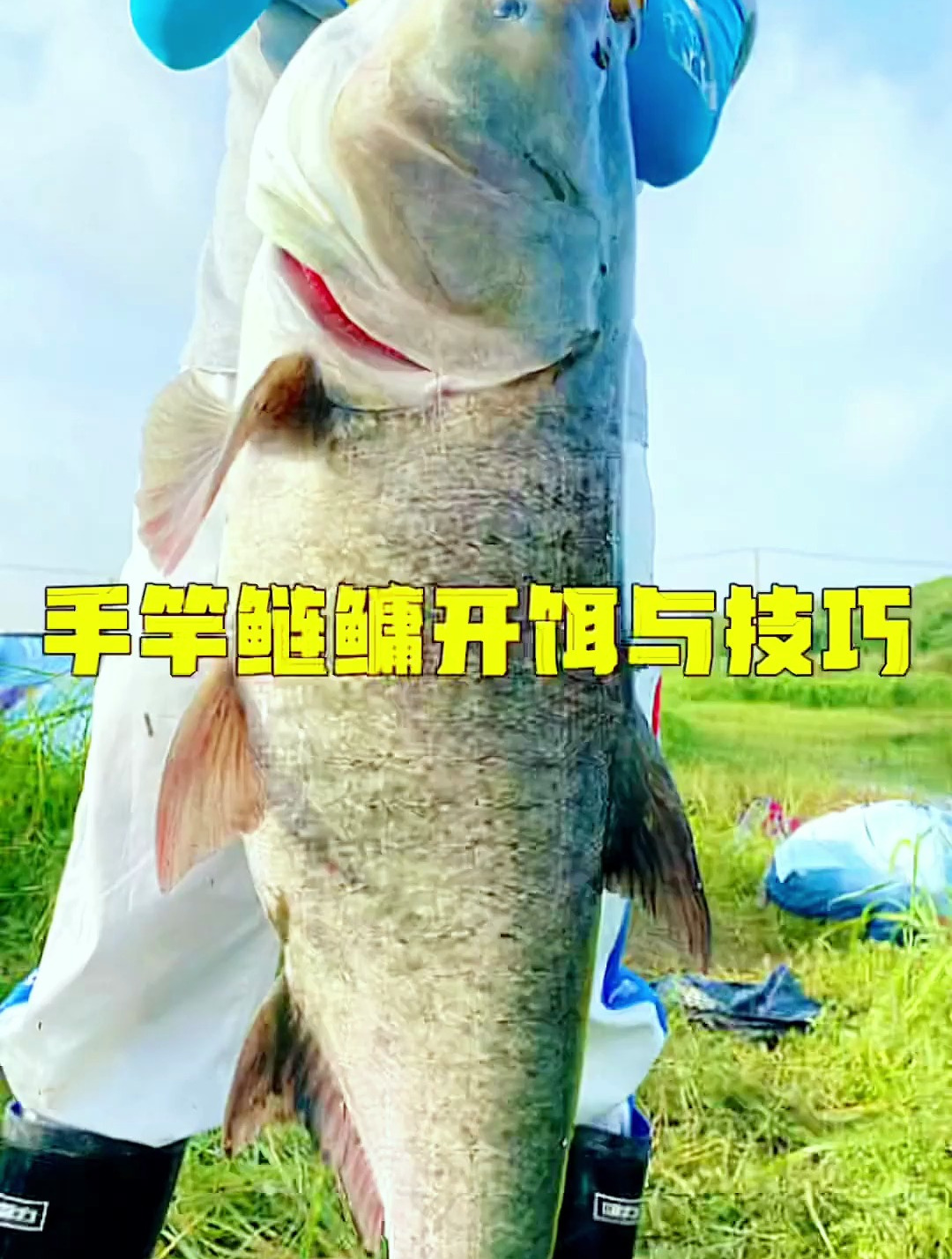 老坑塘开饵料技巧(坑塘钓鱼用什么饵料)