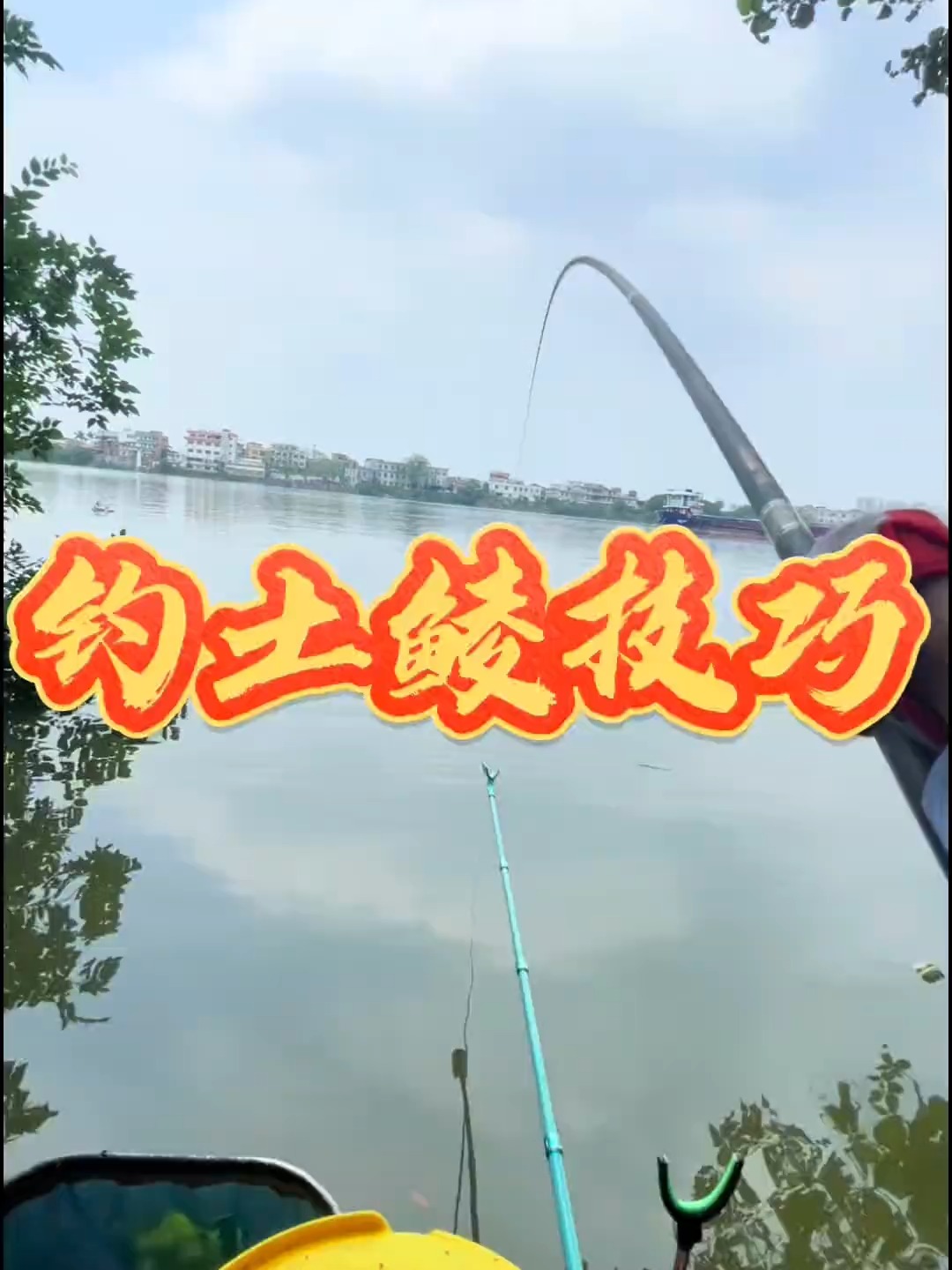 钓大鲮鱼用饵技巧(怎么钓大鳊鱼)
