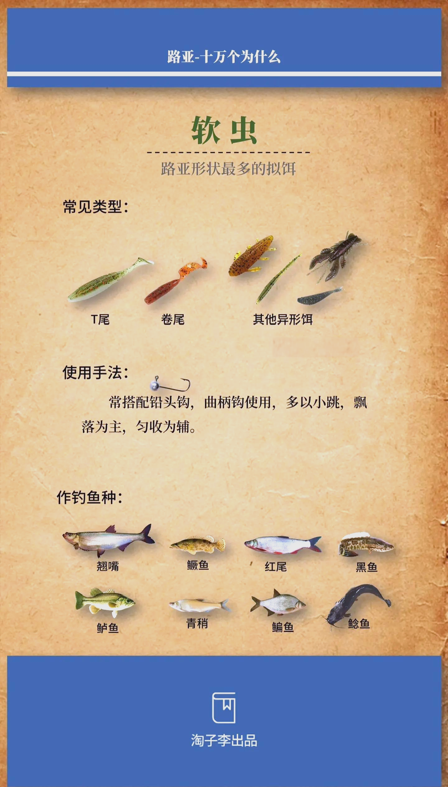 国内路亚鱼饵排名(国内路亚鱼种)