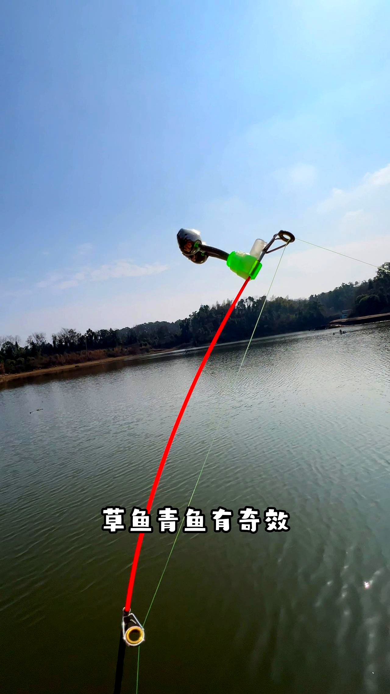 南方5月水库钓鱼技巧(南方四五月份适合钓什么鱼)