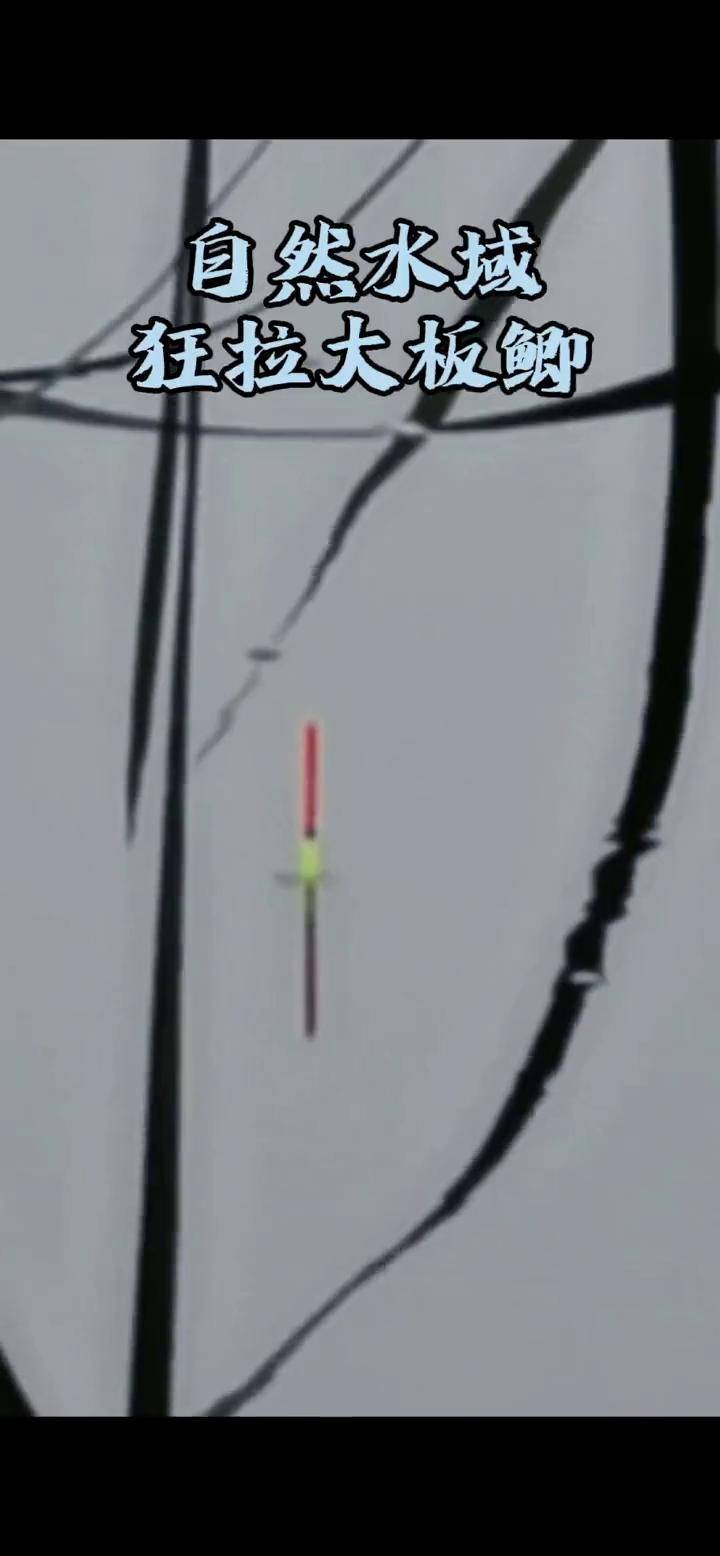 钓鲫鱼起竿技巧视频(钓鲫鱼如何提竿正确)