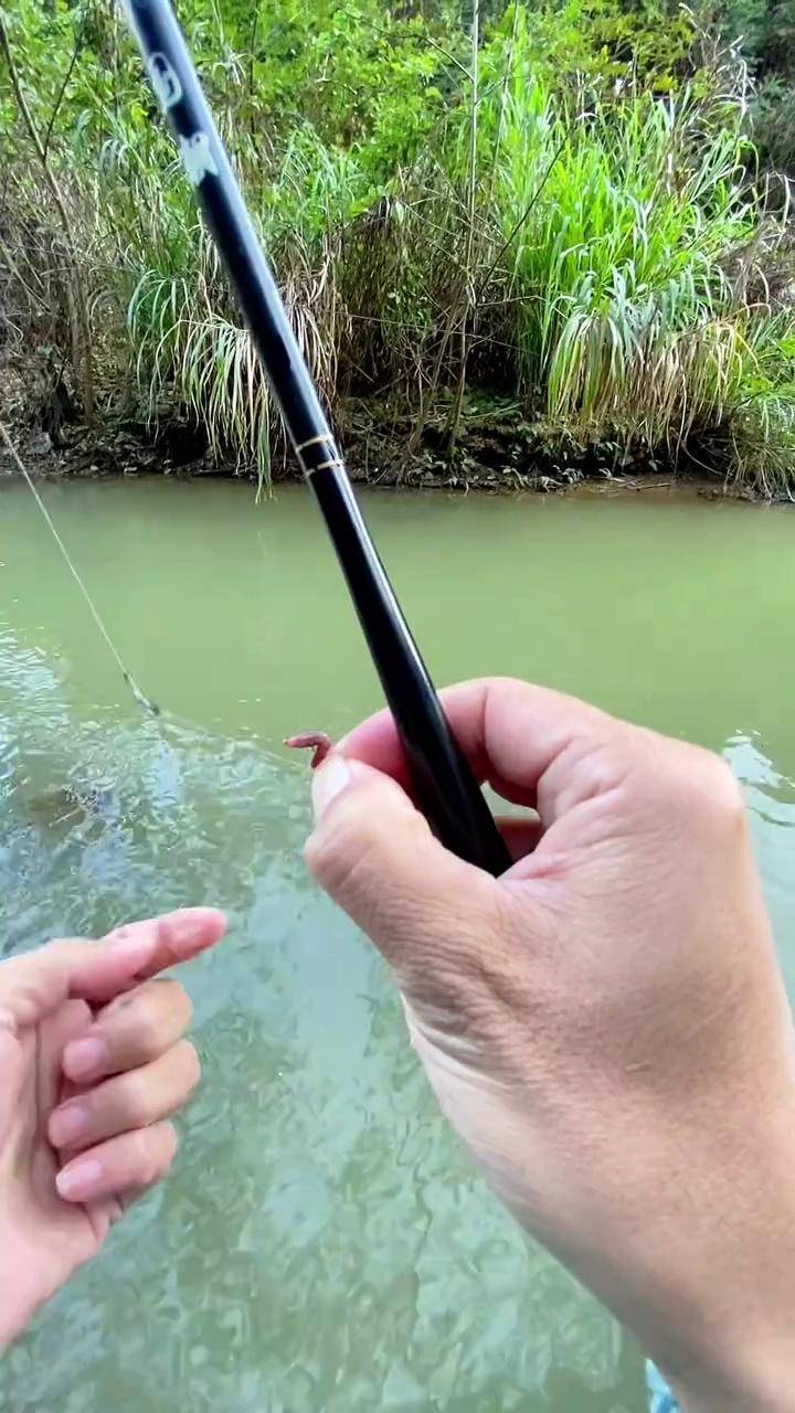 石斑矶钓技巧(矶钓石斑鱼是钓底吗?)