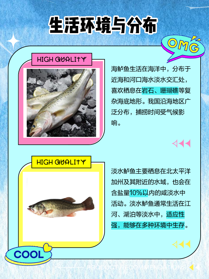 海钓鲈鱼与潮汐(钓海鲈涨潮还是落潮)