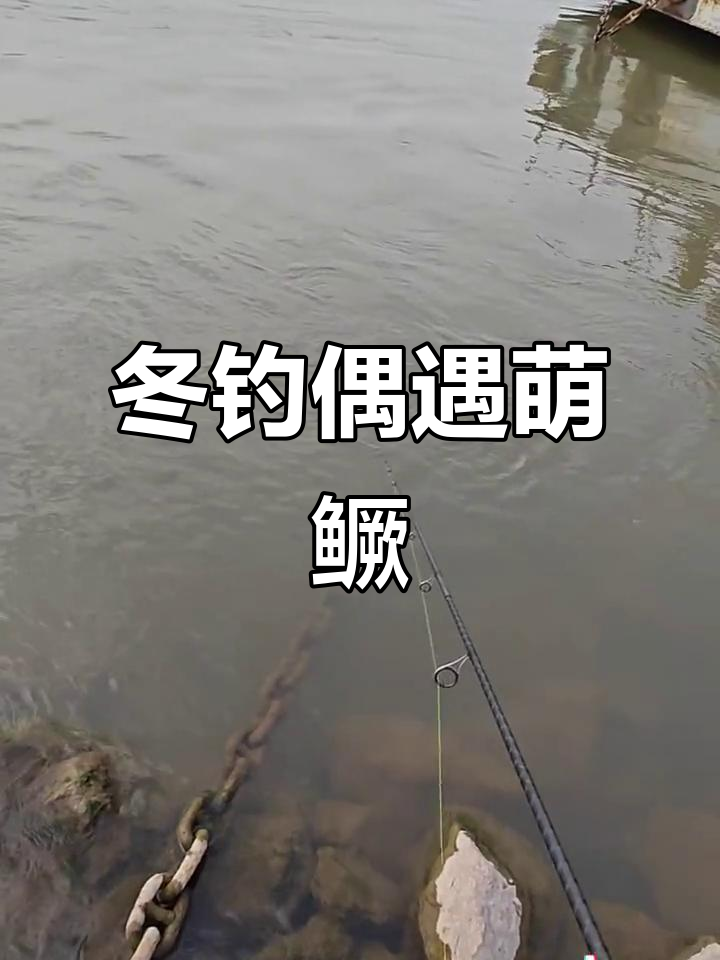 冬季路亚鳜鱼技巧视频(冬季怎么路亚鳜鱼)