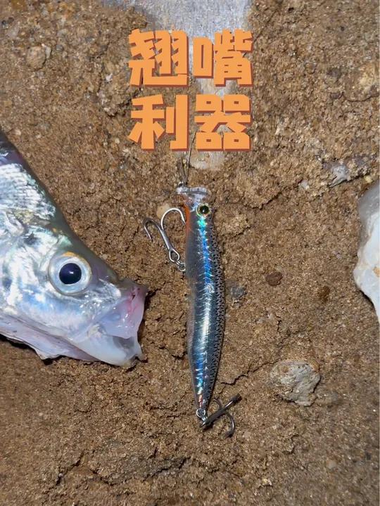 路亚新手钓鱼视频(路亚新手视频教程)