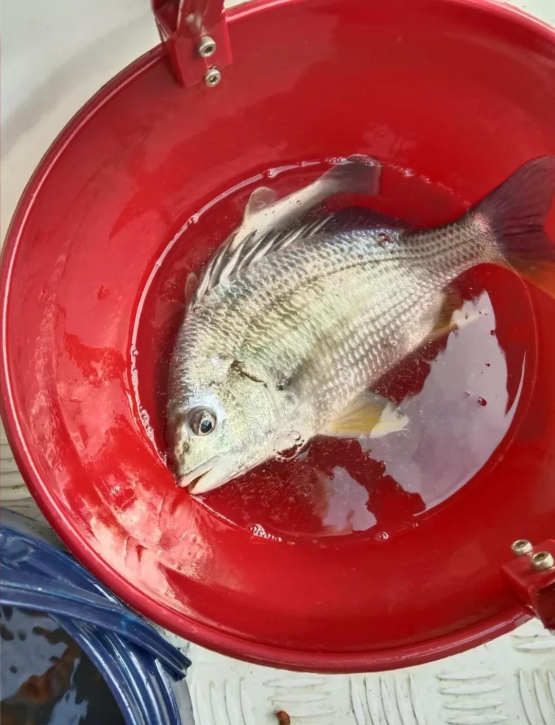 夏季海钓天气(夏天海钓时间)