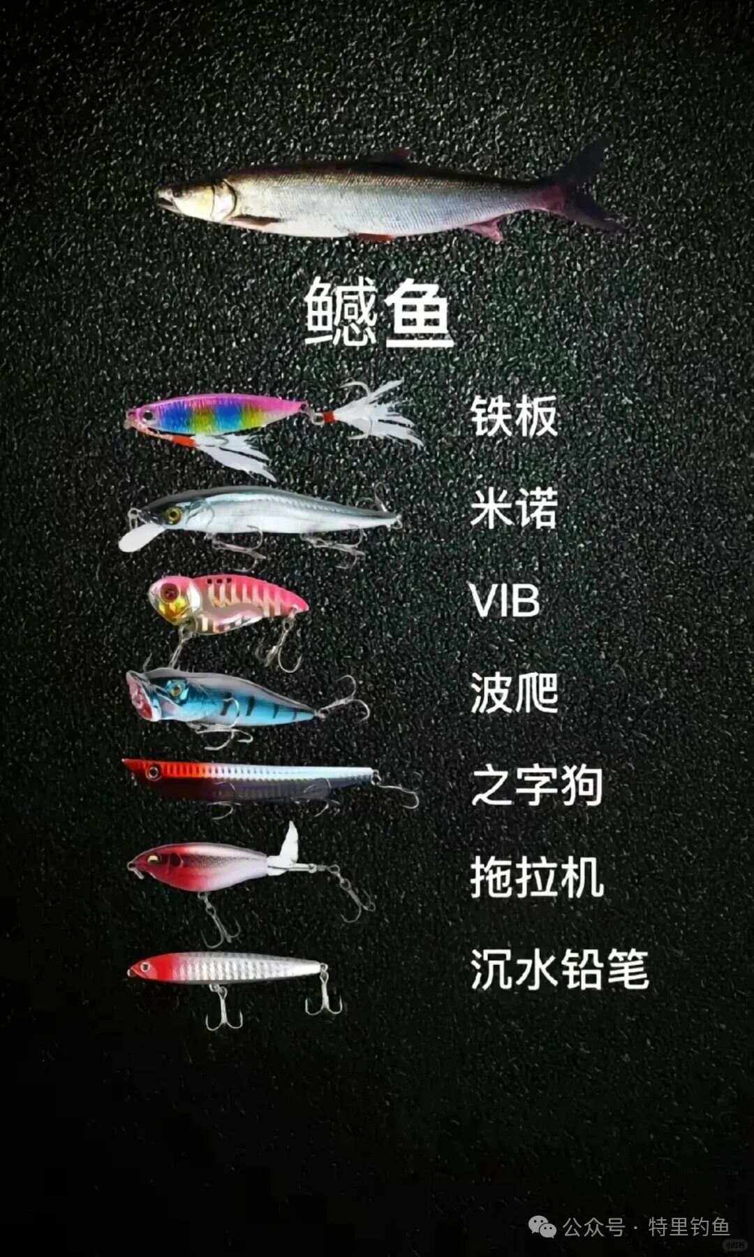 路亚打中目标(路亚中鱼技巧)