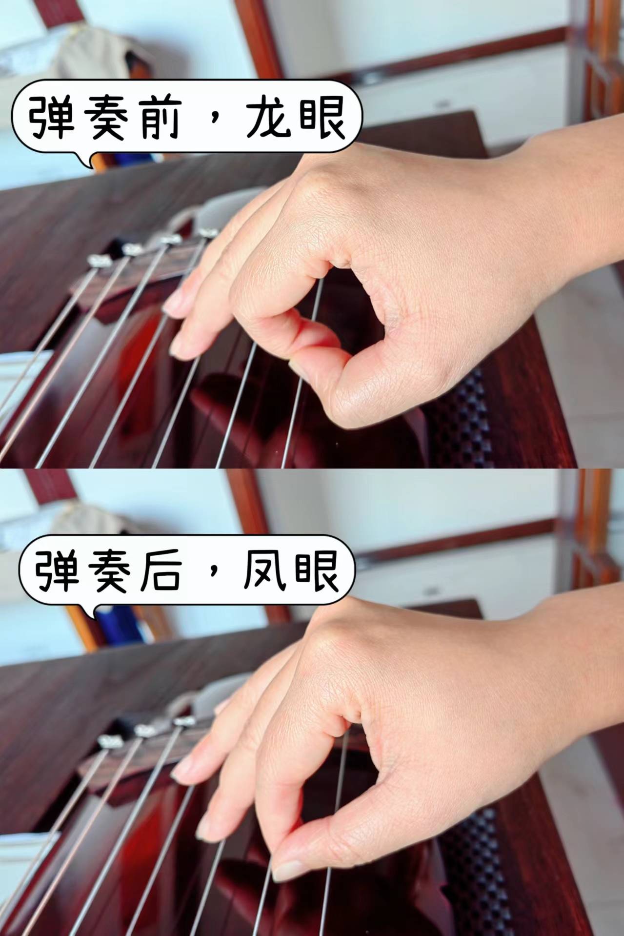 食指托竿技巧(五个手指介绍图)