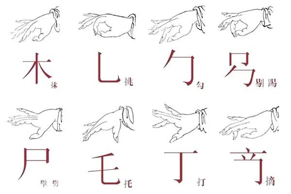食指托竿技巧(五个手指介绍图)