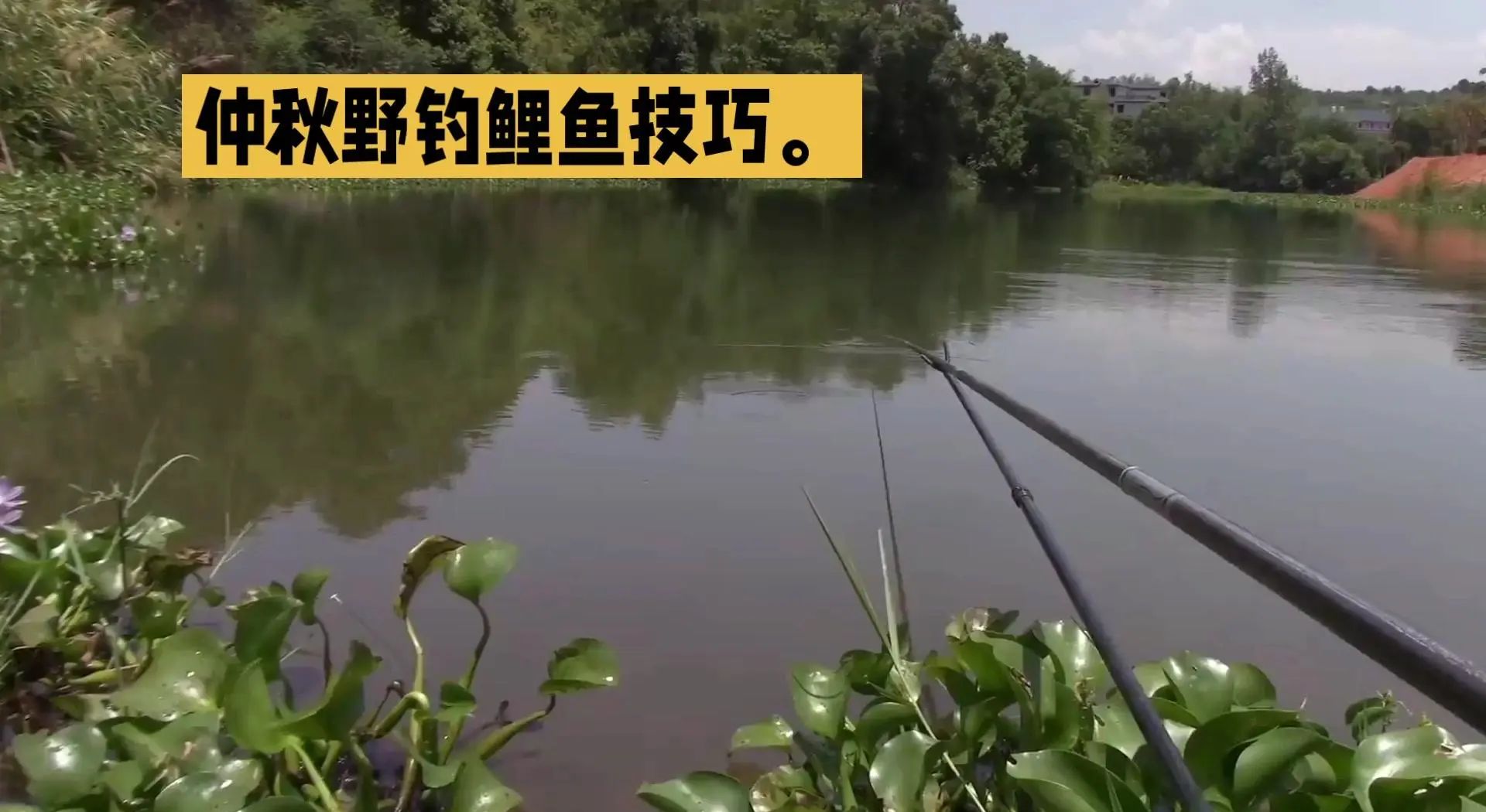 冬季碱水垂钓鲤鱼技巧(双人壁纸动漫闺蜜)