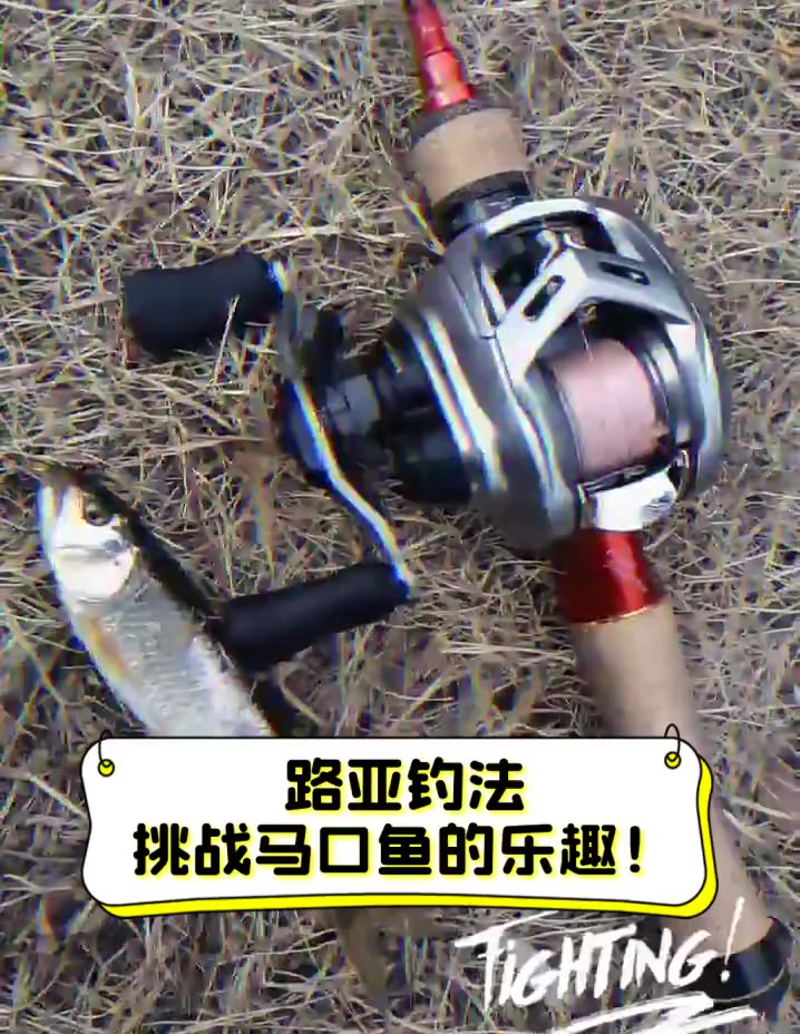 马口鱼路亚怎么路(路亚马口鱼,这四个小技巧很实用)