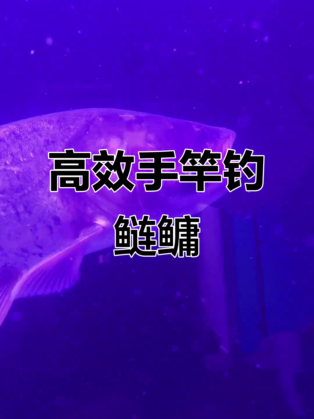 冬季手竿钓鲢鳙技巧(冬季野钓鲢鳙技巧)