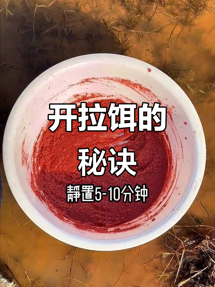 冬季拉饵野钓技巧(冬季拉饵怎么调漂)