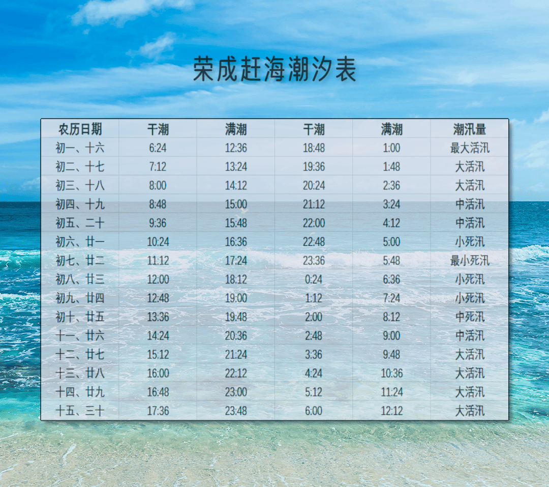 退潮抓鱼技巧(大退潮抓活鱼视频)