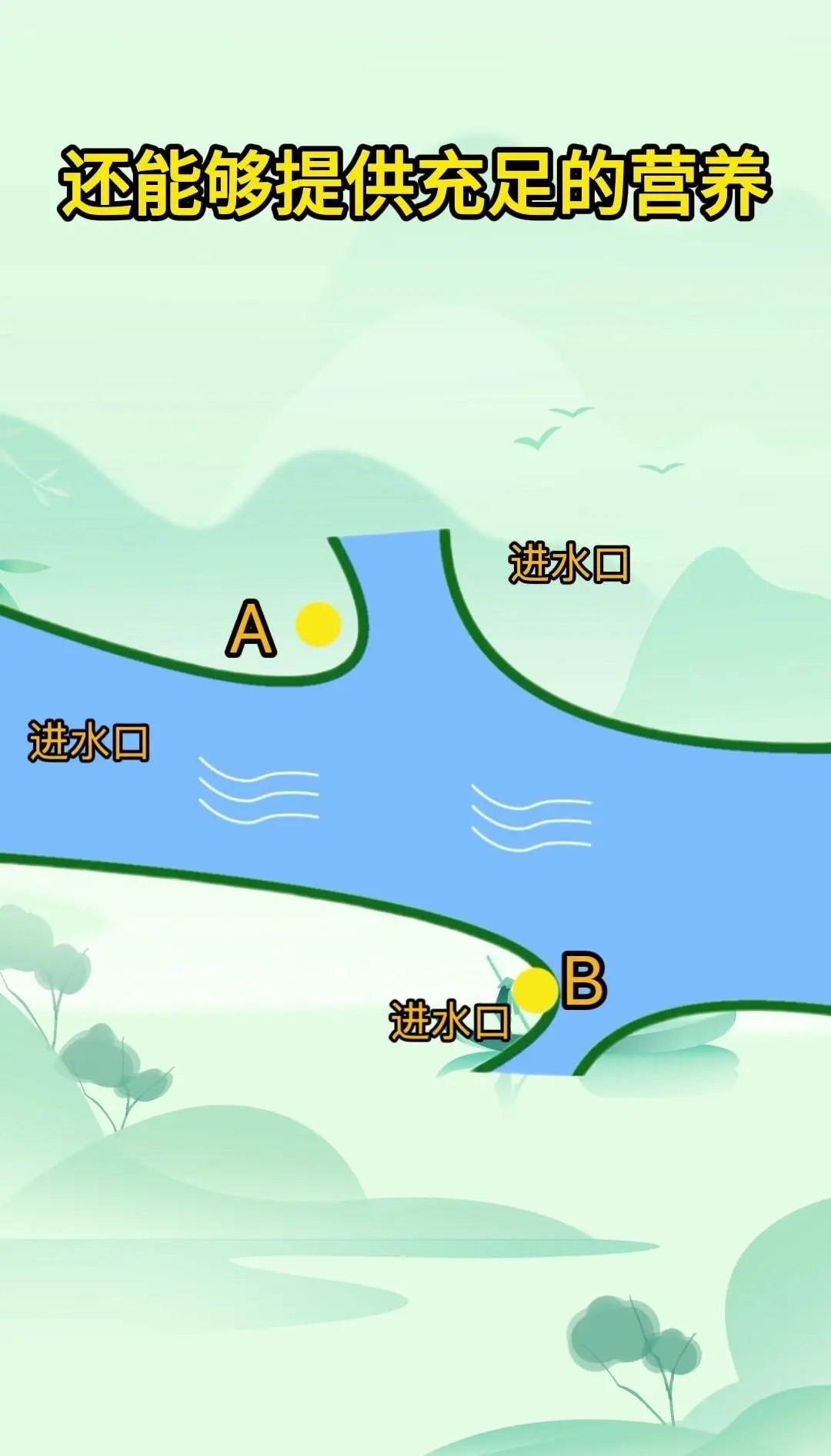 嘉陵江调鱼技巧(嘉陵江上演唱技巧)
