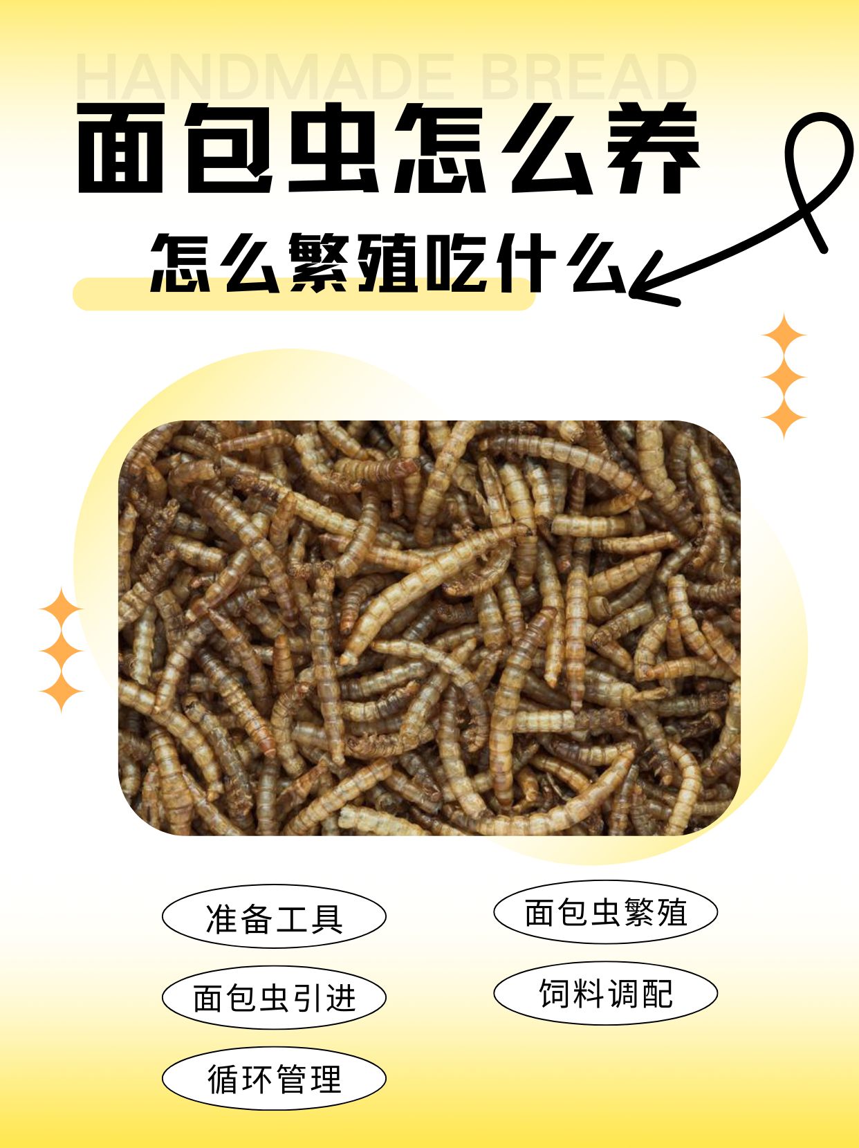 渔具店有卖面包虫的吗(面包虫鱼饵)