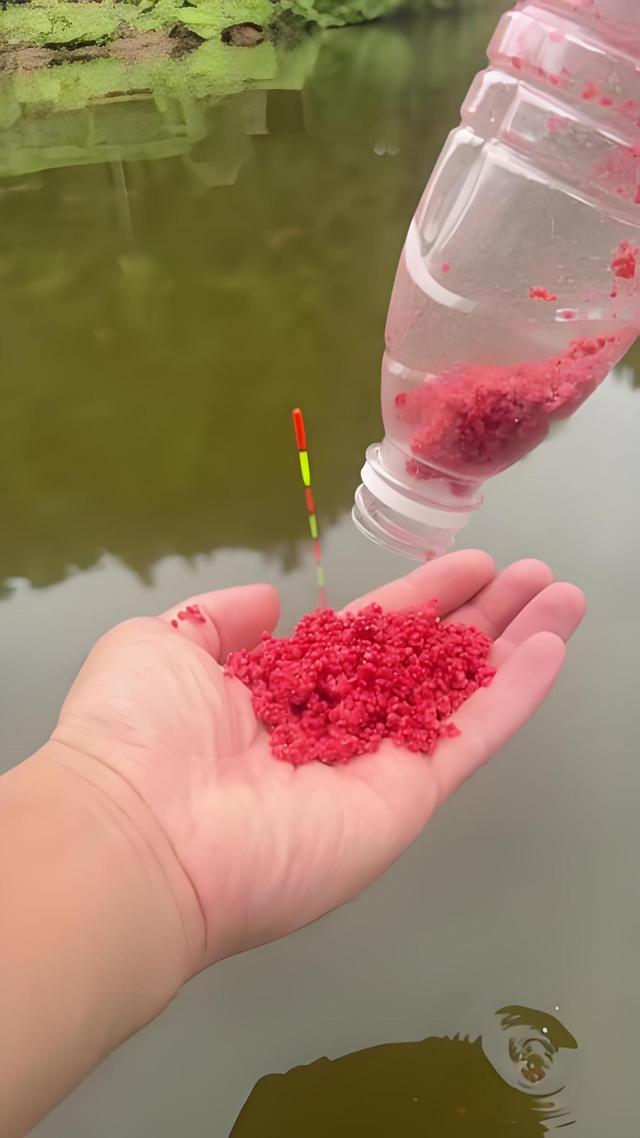 蚯蚓钓黄磉鱼技巧(怎样用蚯蚓钓黄尾鱼)
