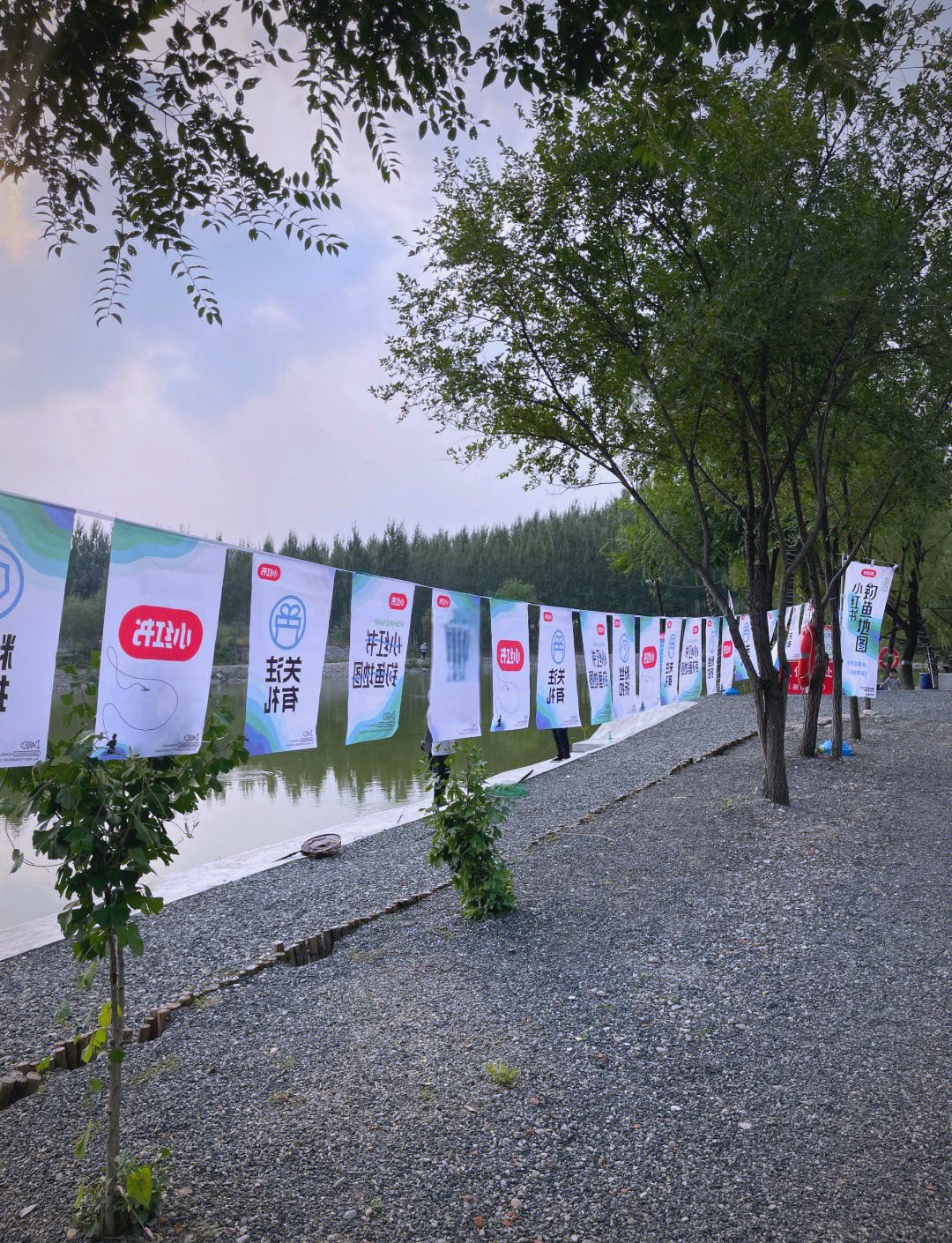 路亚国内大赛(2021路亚展)
