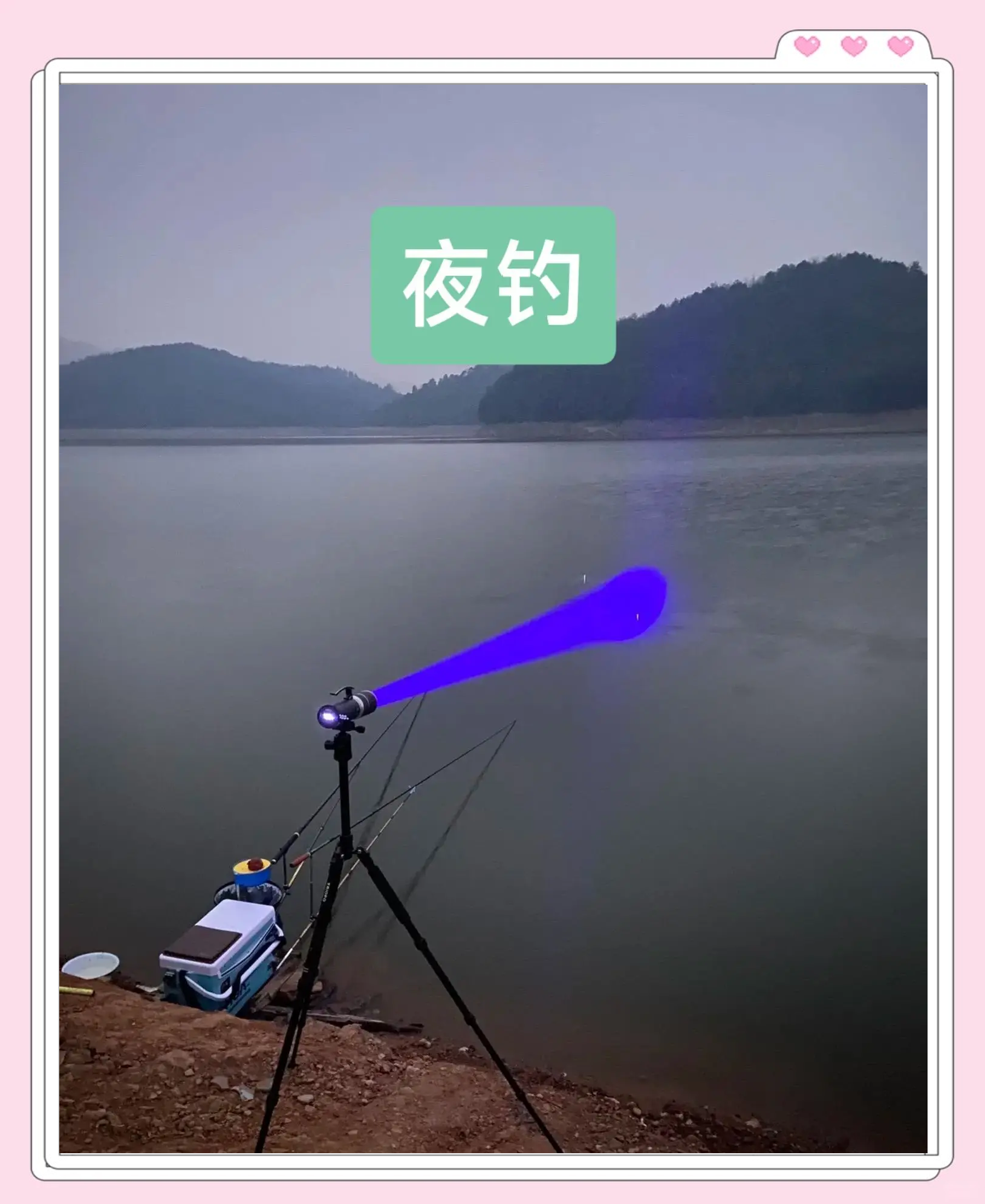 关于夏季夜晚钓鲤鱼的技巧的信息