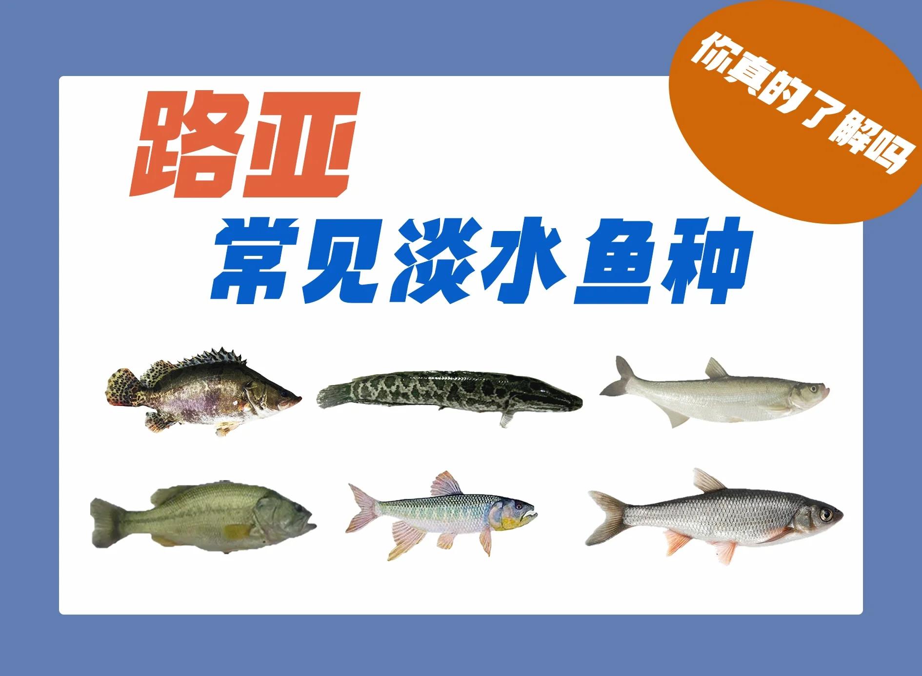 遵化路亚地点(遵义必去一条街)