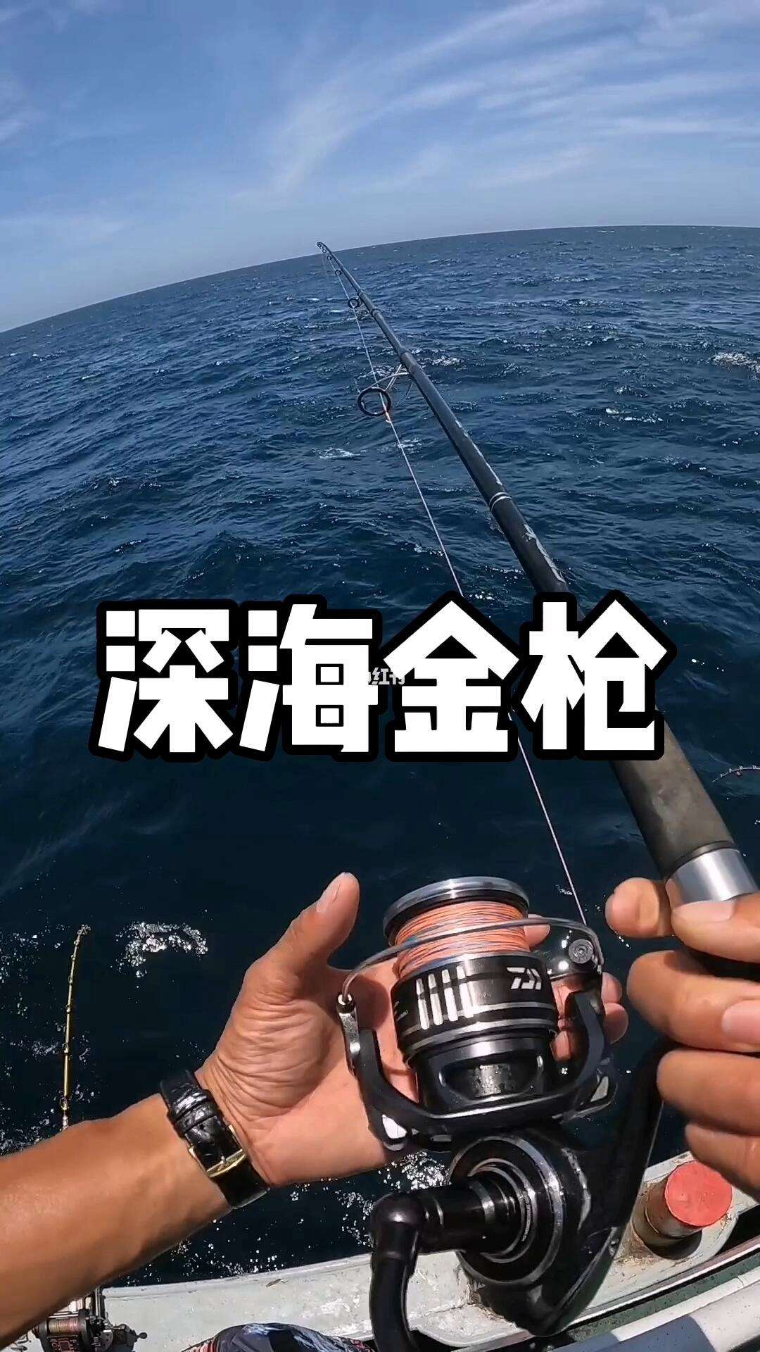 深海钓鱼渔具(深海钓鱼装备清单)