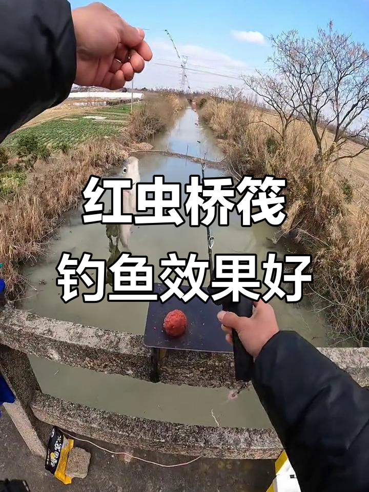 桥阀饵料(桥上阀钓)