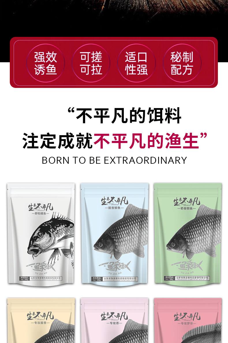 山东地区饵料(山东地区钓鱼用什么商品饵好?)