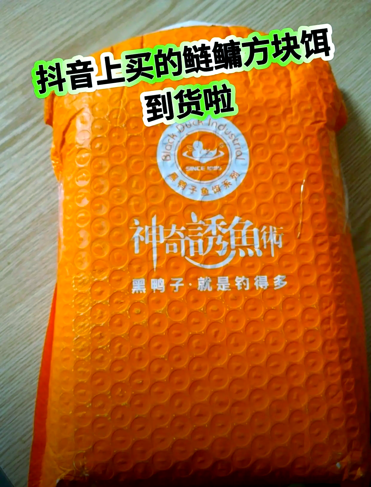 海钓鲢鱼技术(海钓鲢鳙方法)