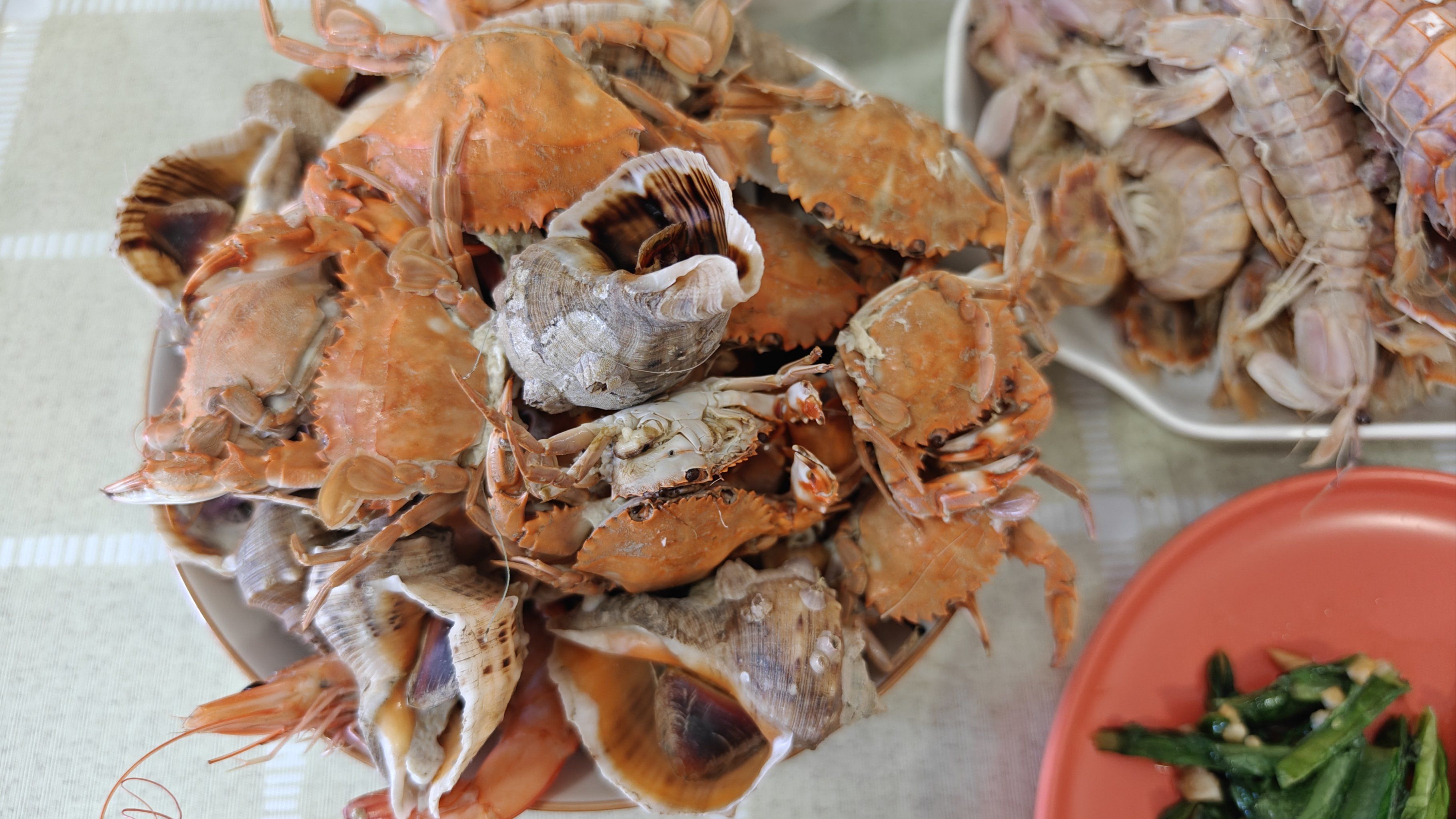 海用螃蟹饵料(海钓螃蟹饵)