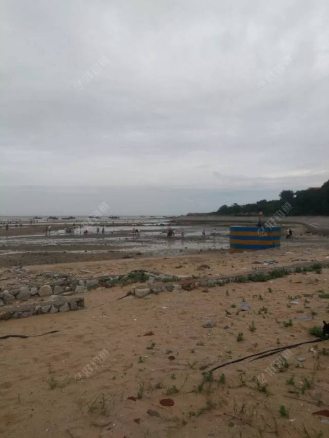 莱州金城镇海钓(莱州海钓免费钓点地图)