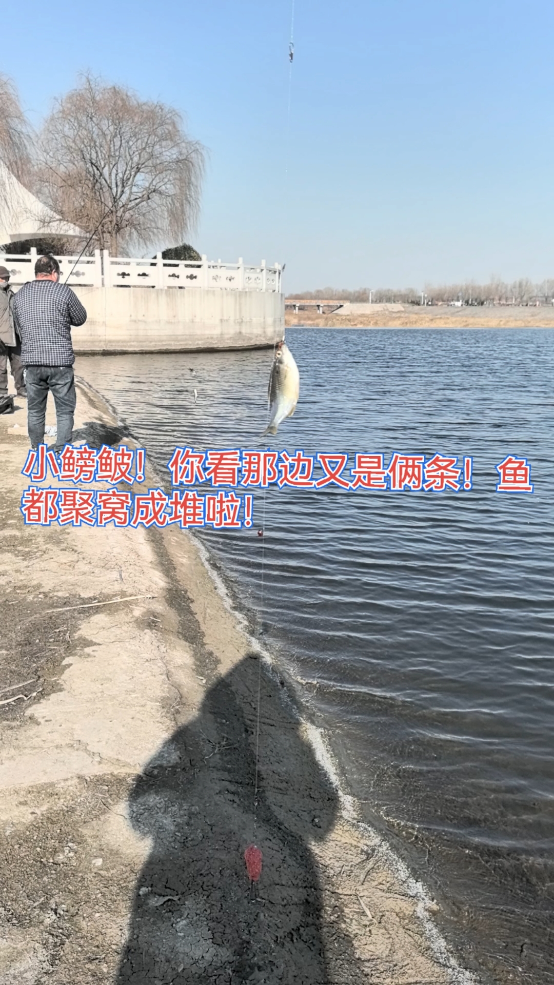 锚鱼挂鱼技巧(锚鱼容易挂底怎么办)