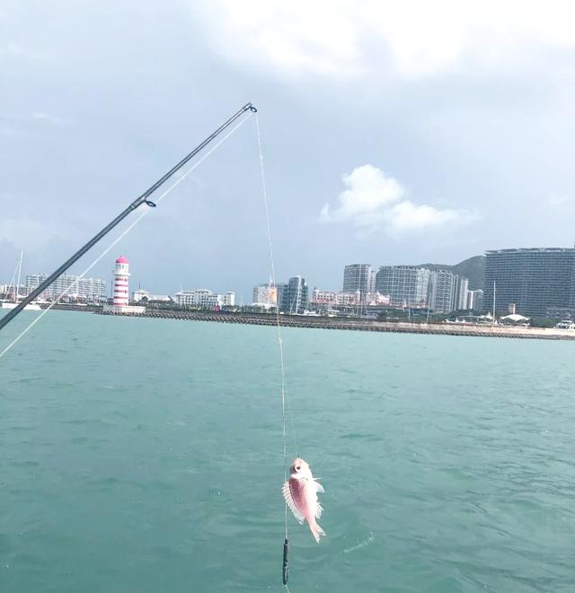 苏州海钓(苏州钓鱼)