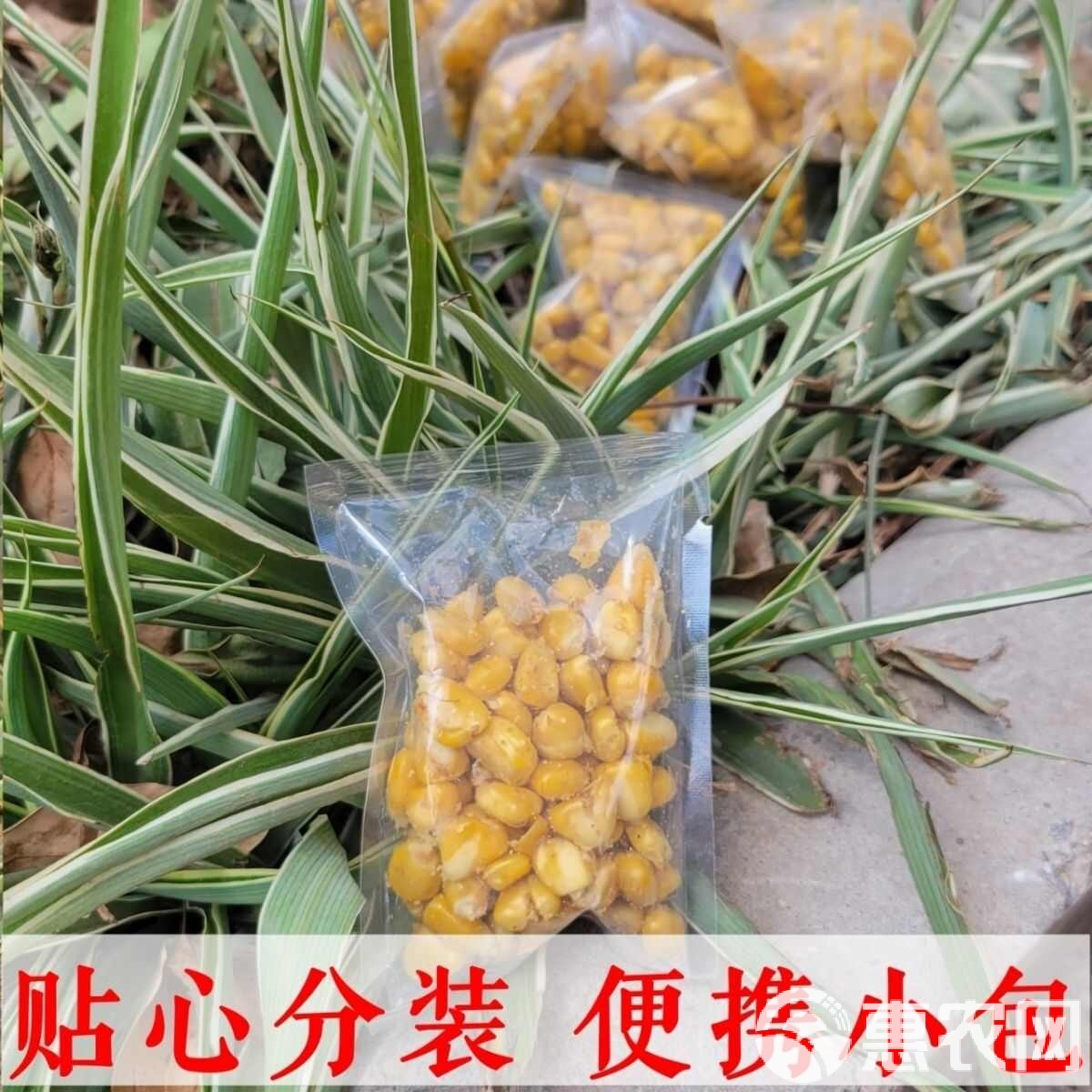 商品发酵饵料存放(商品发酵饵料存放时间)