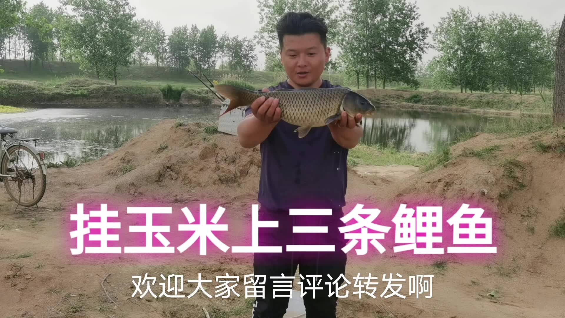 秋季野塘钓鲤草技巧(秋季钓鲤草鱼用什么饵料)