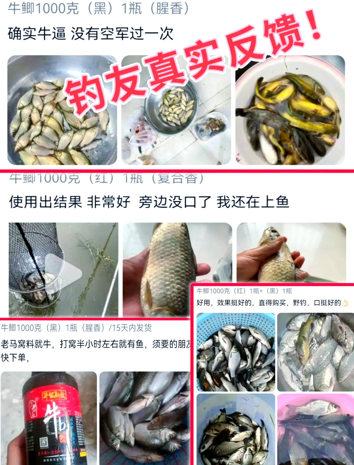 米浆钓鱼饵料图解(钓鱼饵料排行榜前十名)