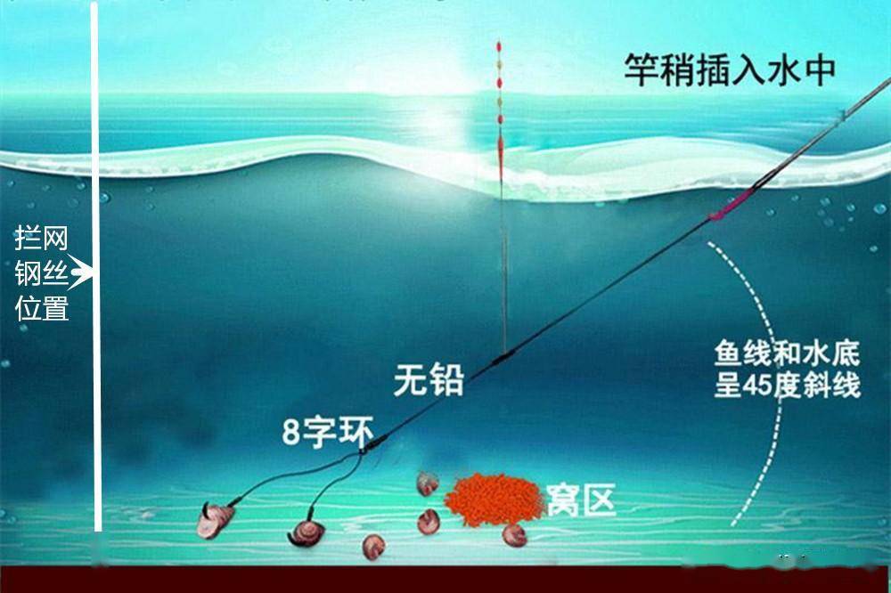 螺丝钓青鱼打窝技巧(螺丝钓青鱼打窝技巧和方法)