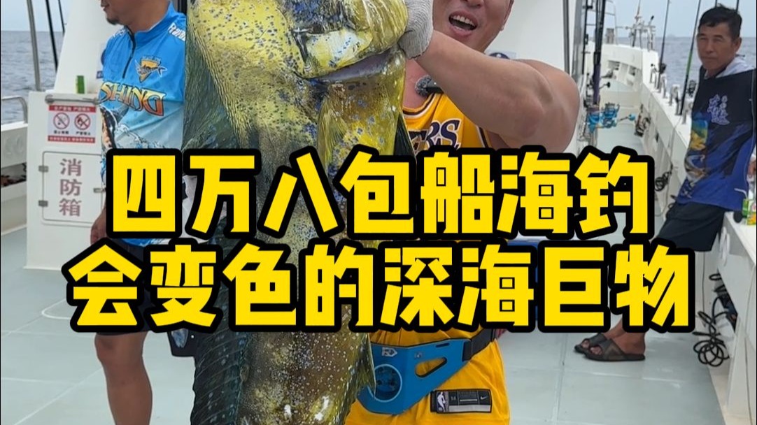 舟山包船出海钓鱼费用(舟山海钓包船价格钓带鱼)
