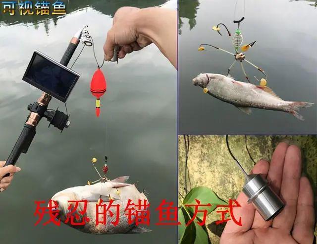 高科技河里钓鱼技巧(高科技钓鱼用具)