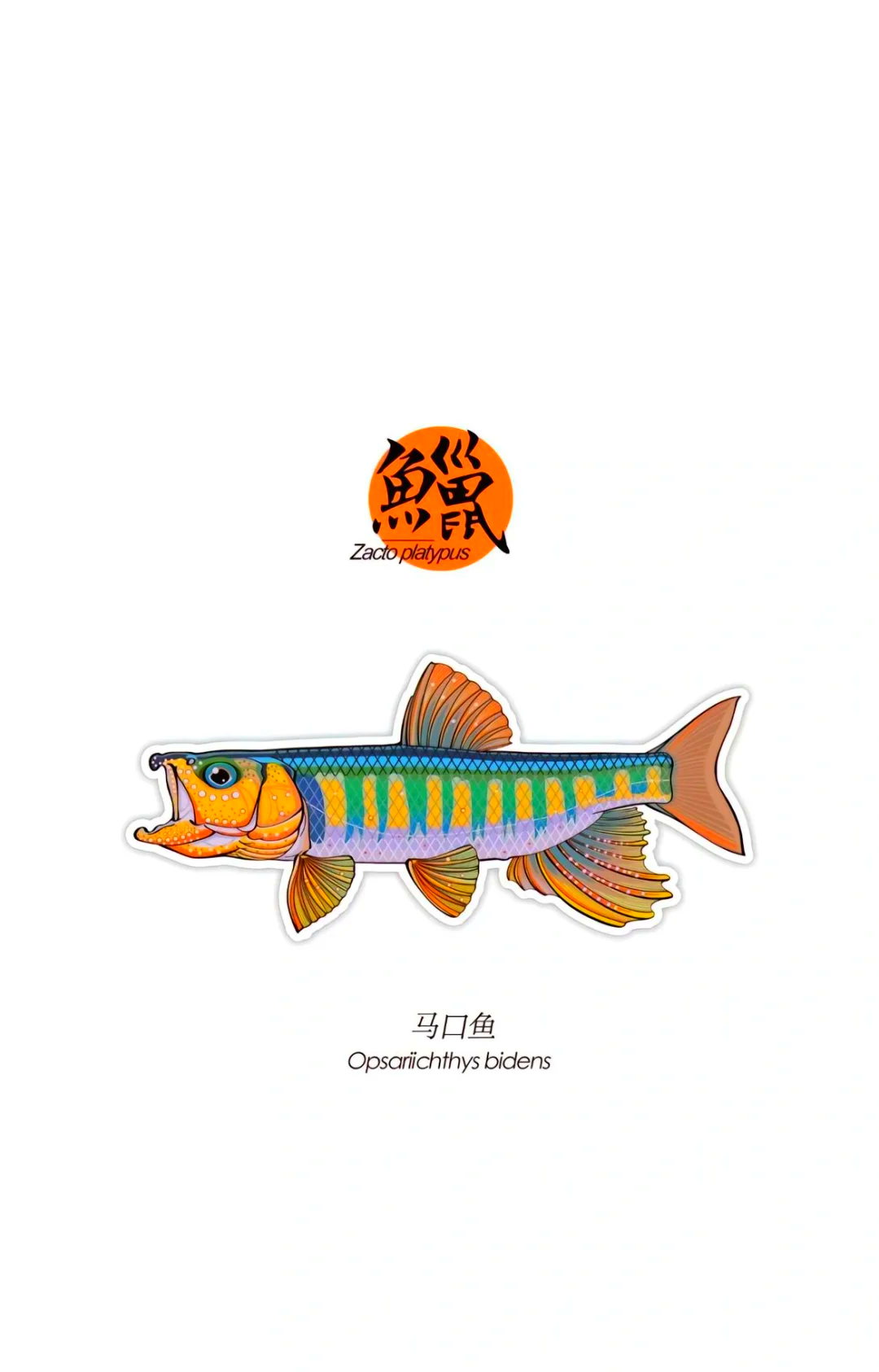 高级路亚日语(路亚的中文意思)