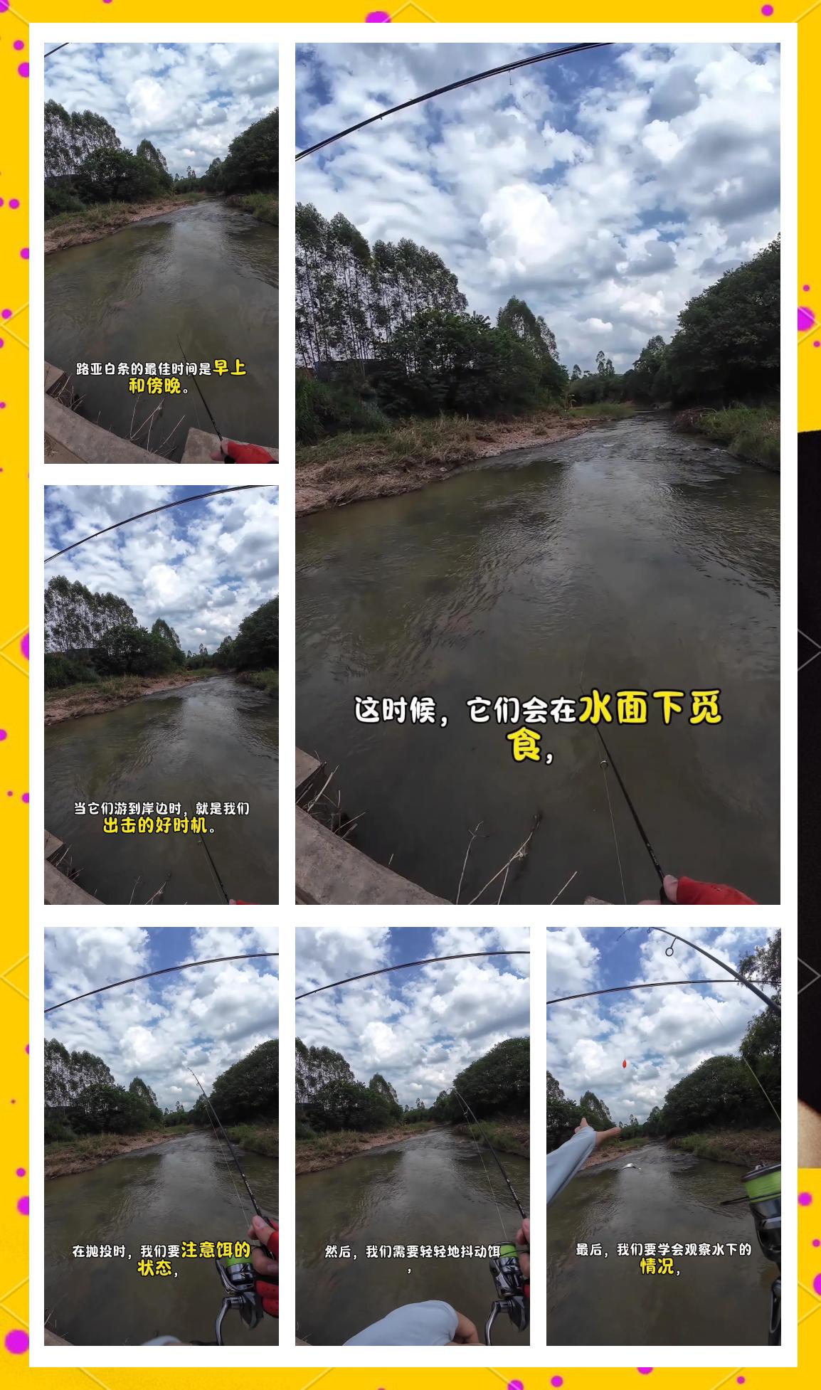 路亚钓白条推荐(路亚钓白条用什么好)