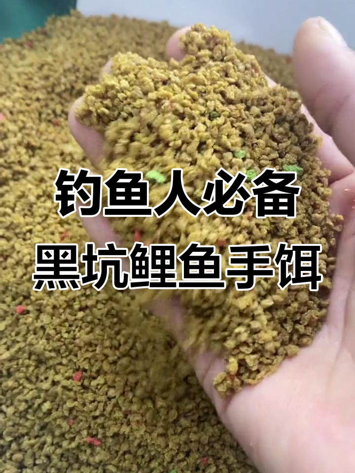 冬季黑坑锚鲤鱼技巧(黑坑锚鱼用什么钩好)
