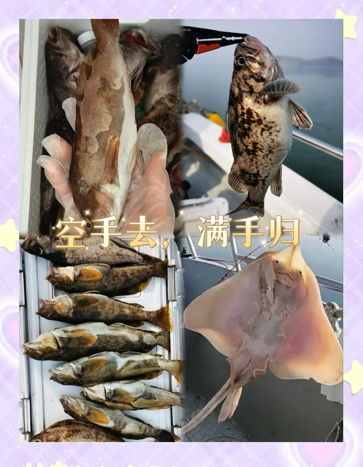 大连收费海钓地点(大连近海钓鱼)