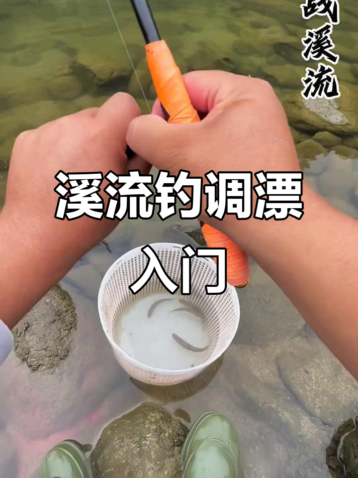 钓鲶鱼调漂技巧(钓鲶鱼调漂方法和钓鲤鱼调漂方法一样吗)