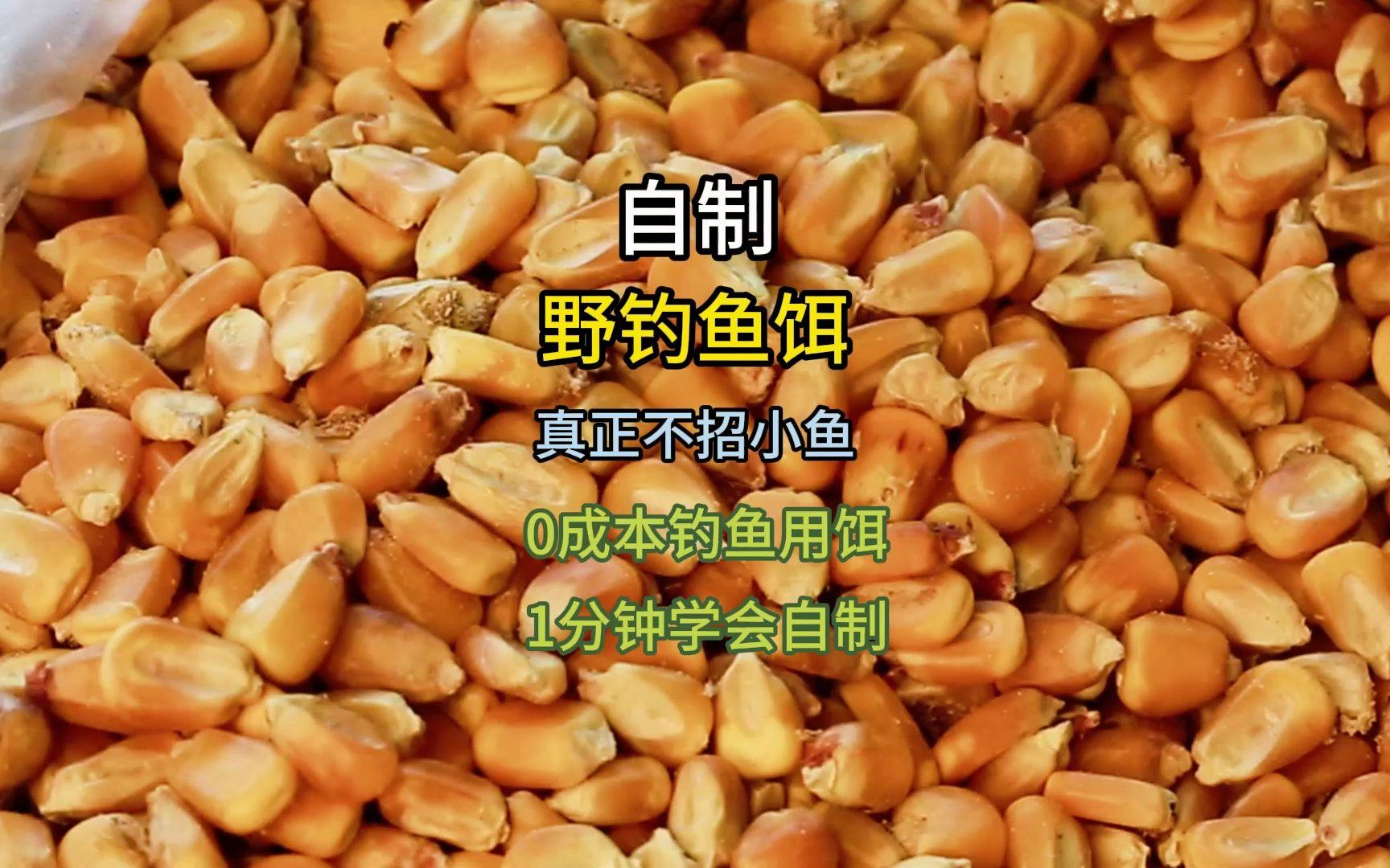 小杂鱼饵料(小杂鱼饵料怎么配)