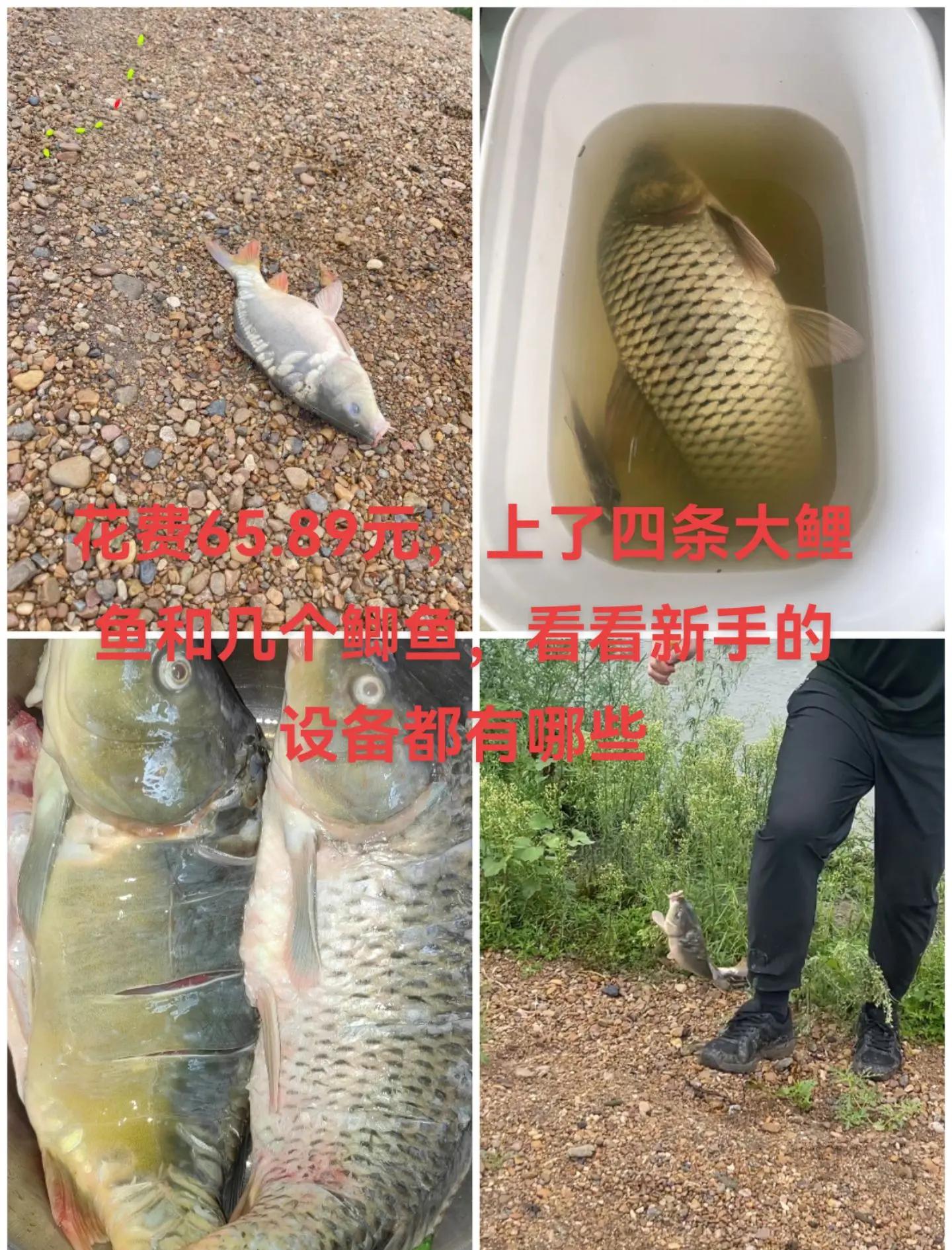 南阳哪里可以租渔具(南阳哪里可以租渔具用品)