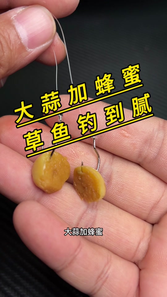 大蒜钓草鱼技巧(大蒜钓草鱼技巧和方法)