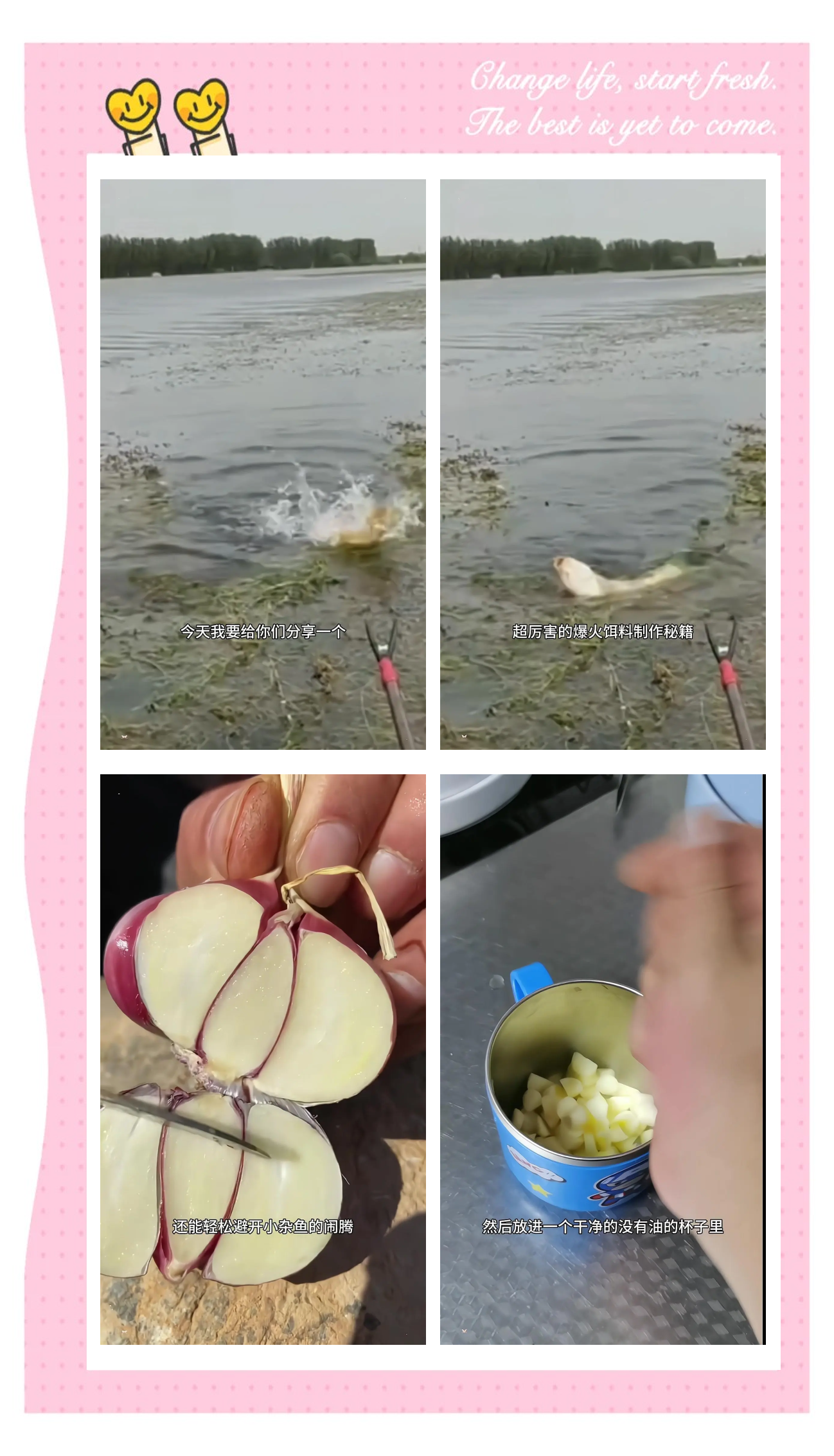 大蒜钓草鱼技巧(大蒜钓草鱼技巧和方法)