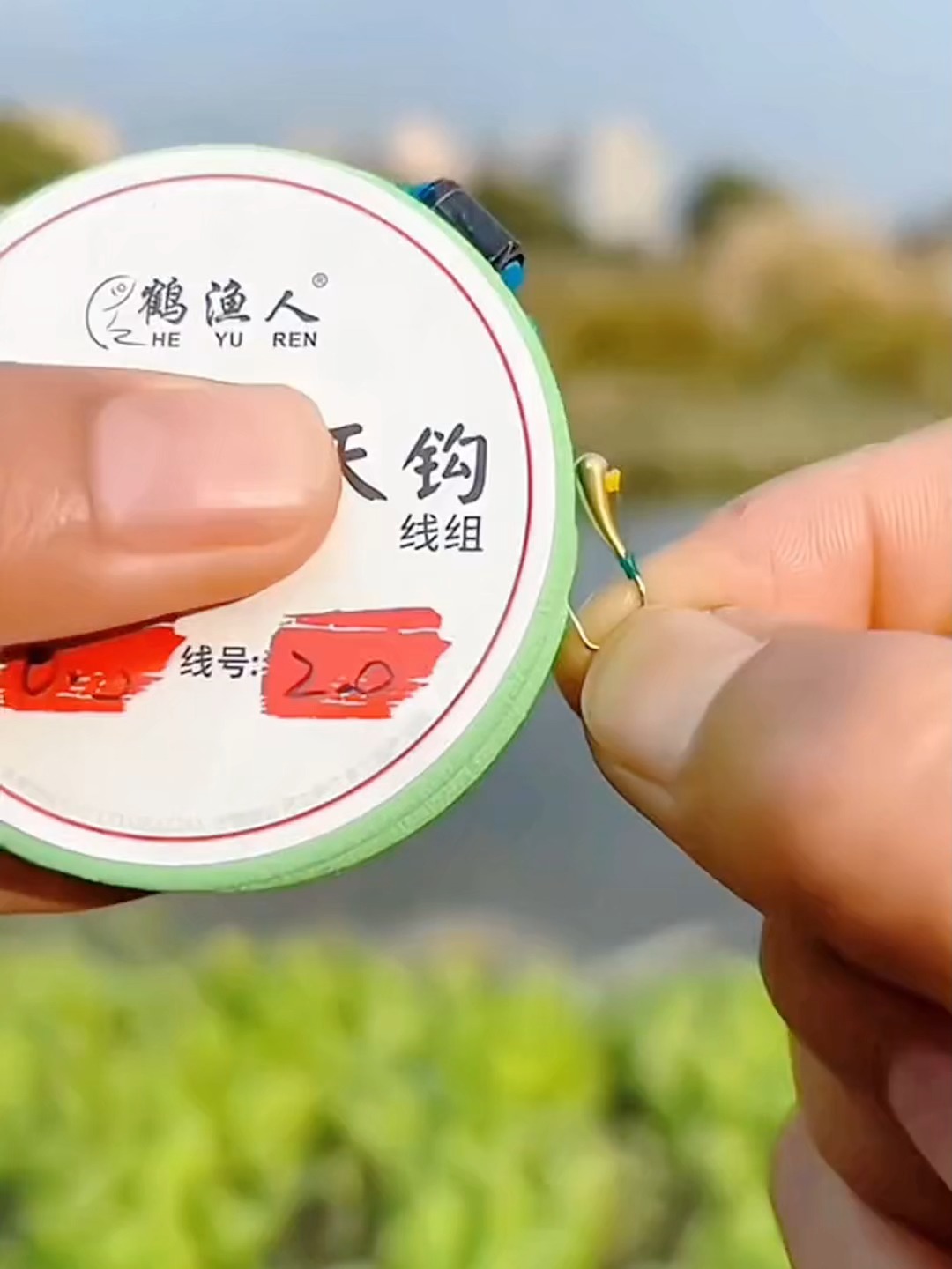 太空豆钓鲤鱼技巧(钓鱼时太空豆放的位置图解)