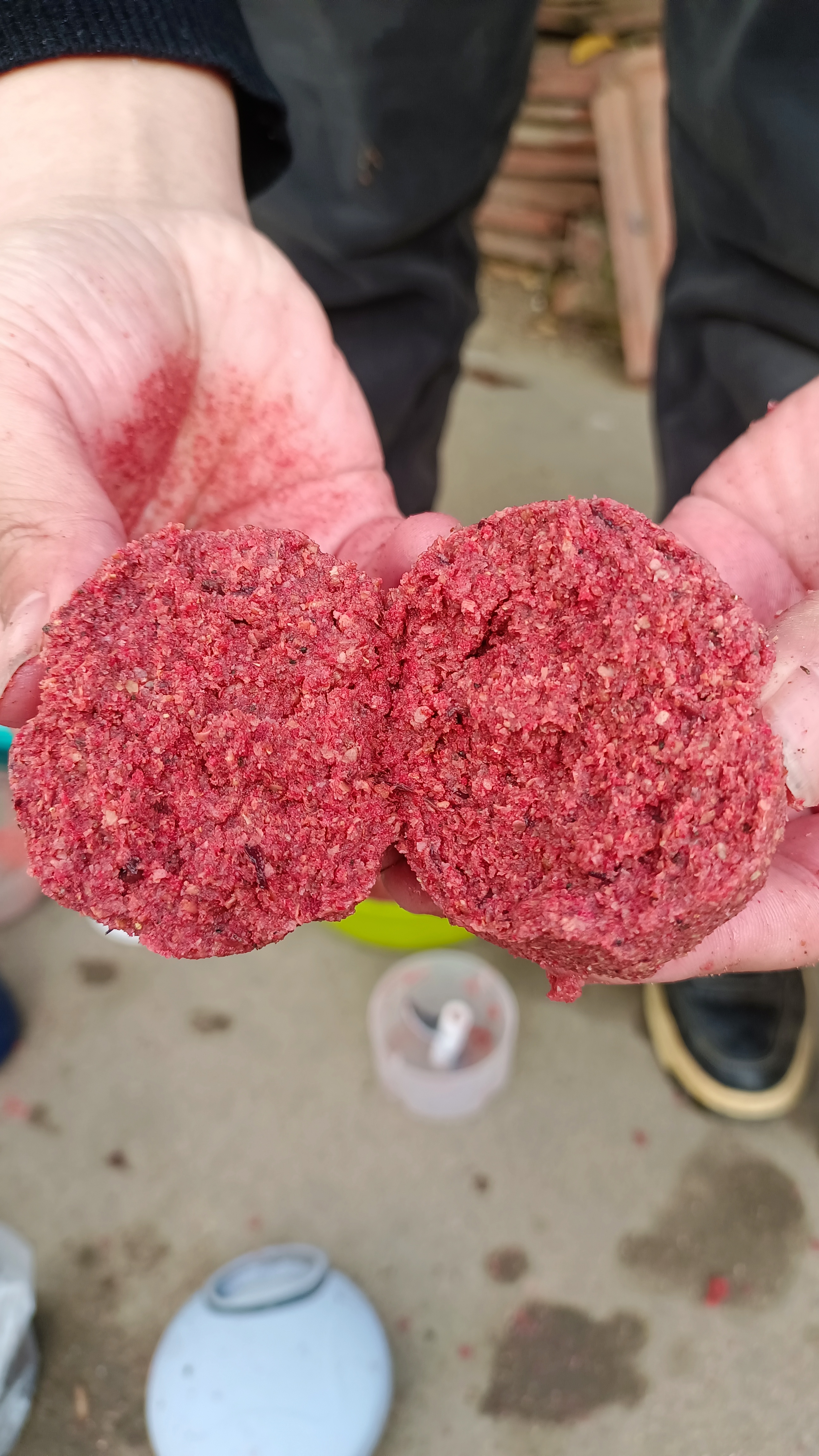 不招小鱼的饵料(不招小鱼的窝料)
